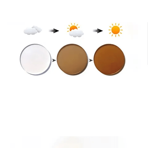 Transition Lenses (Pkg)