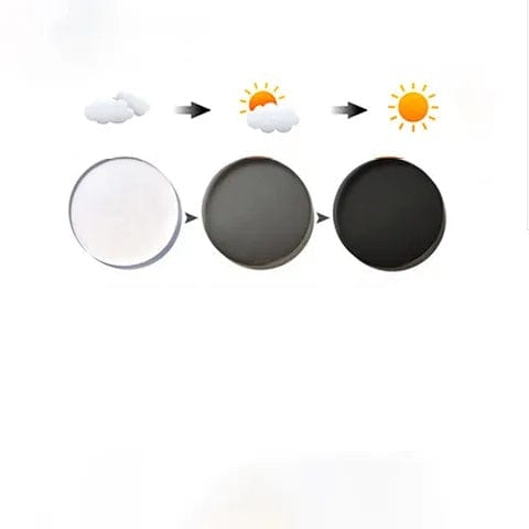 Transition Lenses (Pkg)